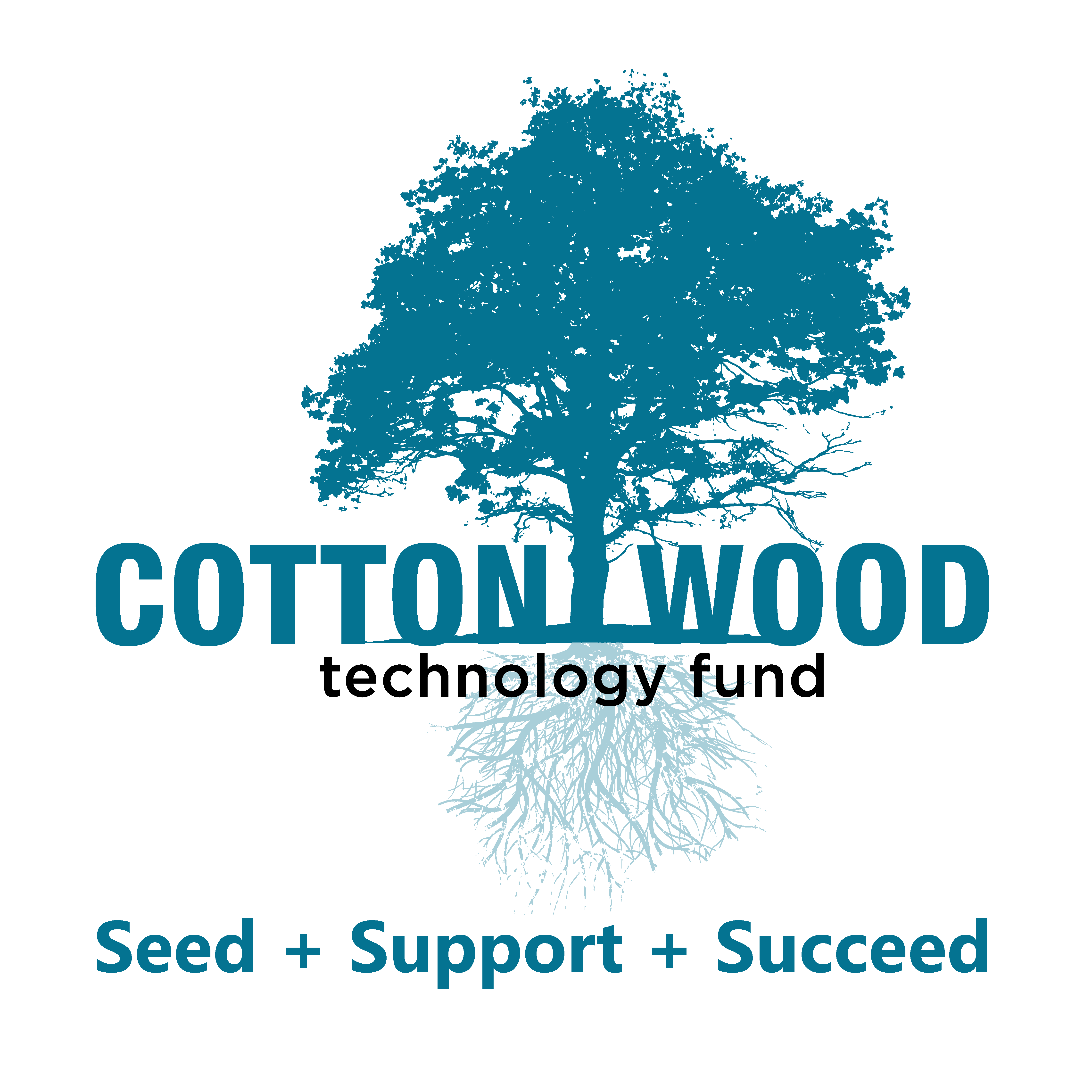 Cottonwood Technology Fund